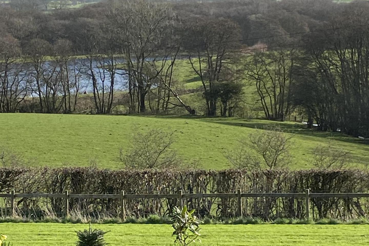 Stunning Shepherds Hut Rural Bliss Dumfries Eksteriør billede