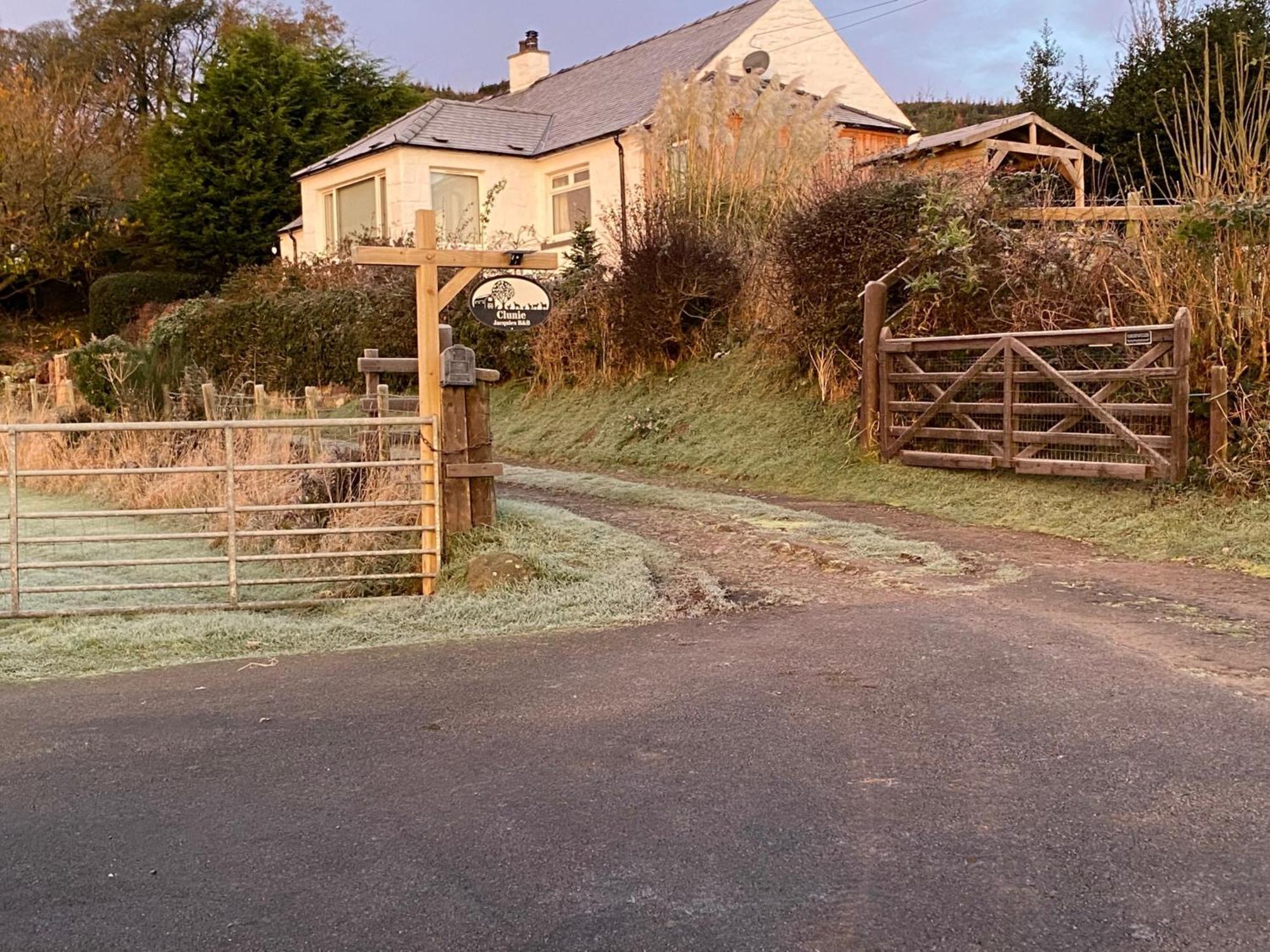 Stunning Shepherds Hut Rural Bliss Dumfries Eksteriør billede