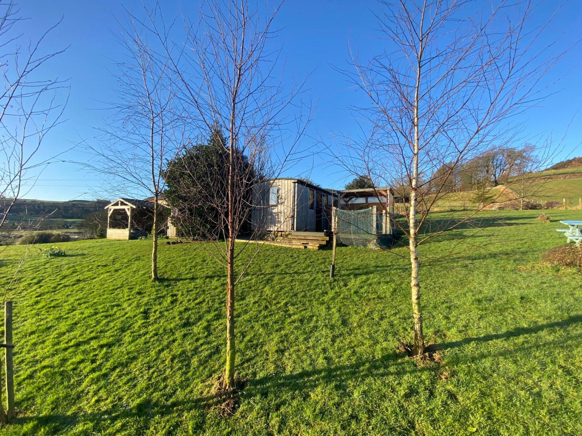 Stunning Shepherds Hut Rural Bliss Dumfries Eksteriør billede